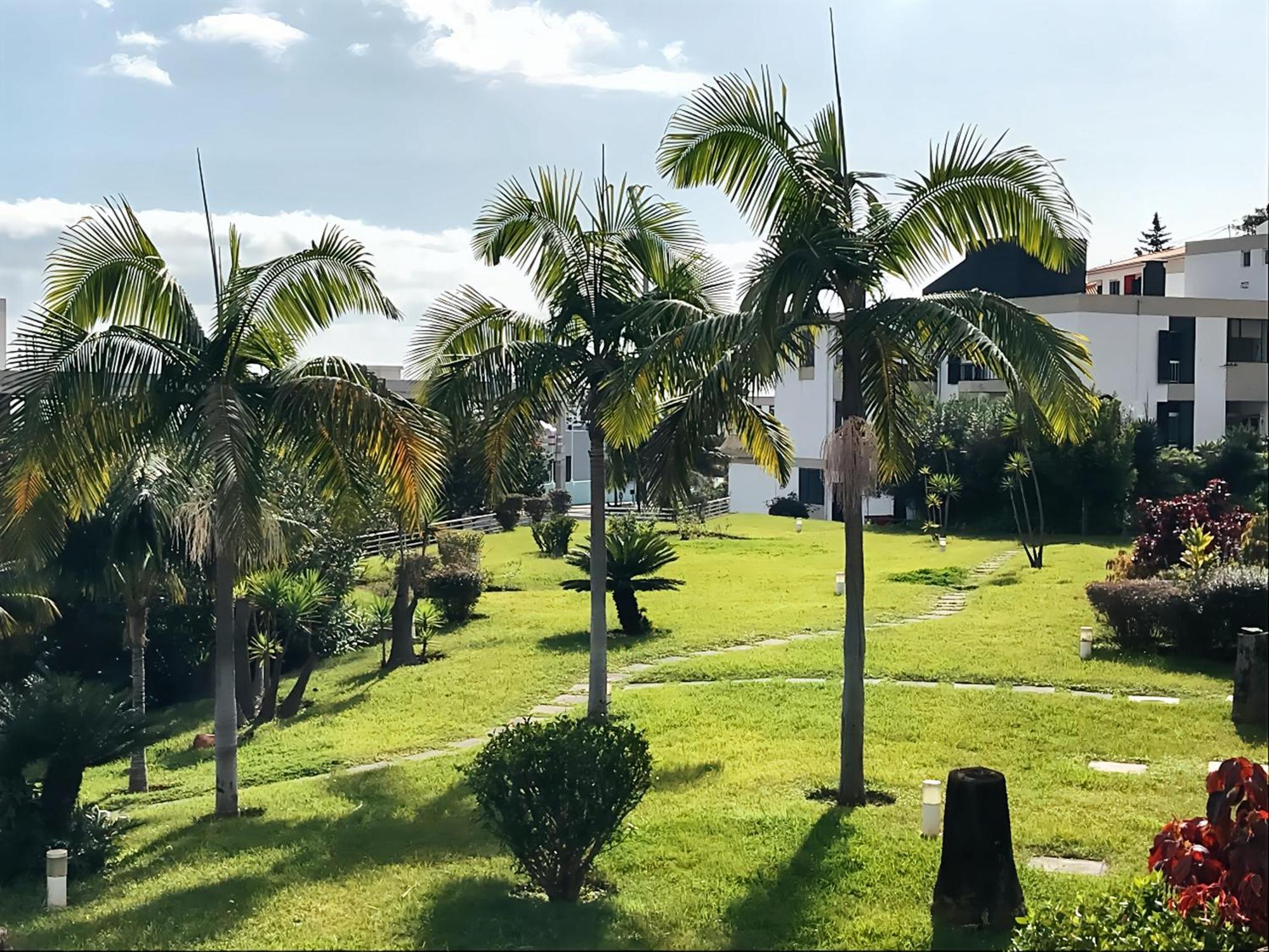 Your Home In Madeira III فونشال المظهر الخارجي الصورة